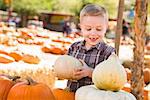 Adorable Little Boy Gathering His Pumpkins at a Pumpkin Patch on a Fall Day.
