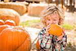 Adorable Little Boy Sitting and Holding His Pumpkin in a Rustic Ranch Setting at the Pumpkin Patch.