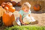 Adorable Baby Girl Holding a Pumpkin in a Rustic Ranch Setting at the Pumpkin Patch.