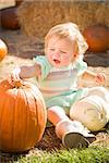 Adorable Baby Girl Holding a Pumpkin in a Rustic Ranch Setting at the Pumpkin Patch.