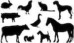 Set of vector animal silhouette.