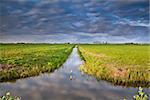 canal in Dutch farmland with reflected sky, Holland