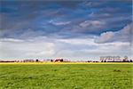 charming house on farmland and stormy sky, Netherlands