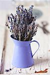 Bunch of dried Provence lavender flowers.