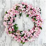 Apple flower blossom wreath over old distressed wooden background.