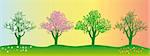 tree in different seasons on a colored background