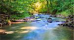 Scenic view of a creek in the forest near Pleasant Hill, Kentucky