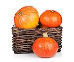 Ripe small pumpkins. Isolated on white background