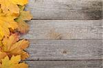 Colorful autumn maple leaves on wooden table background