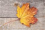 Colorful autumn maple leaf on wooden table