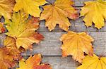 Colorful autumn maple leaves on wooden table