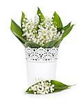 Lily of the valley in flower pot. Isolated on white background