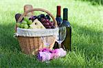 Outdoor picnic basket with bread, cheese and grape and wine bottles on lawn