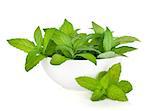 Bowl with fresh mint. Isolated on white backround