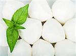 Small pieces of mozzarella and basil closeup