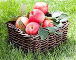 Fresh ripe red apples in basket