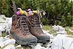 Hiking boots of a hiker with flowers on a rock in the mountains