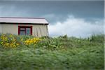 Small House with Red Roof and Window, Arnarstapi, Snaefellsnes Peninsula, Borgarfjorour, Iceland