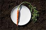 Carrot on plate laid on soil