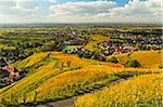 Vineyard Landscape and Steinbach Village, Ortenau, Baden Wine Route, Baden-Wurttemberg, Germany