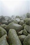 Close-up of rocks, popular destination, Felsenmeer, Odenwald, Hesse, Germany, Europe