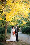 Portrait of bride and groom standing outdoors next to tree in public garden in Autumn, looking at eahc other, Ontario, Canada