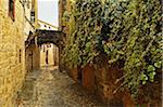 Scene from the Old Town, Rhodes City, Rhodes, Dodecanese, Aegean Sea, Greece, Europe