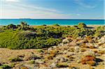 Coastal scene at Apolakkia Bay, Rhodes, Dodecanese, Aegean Sea, Greece, Europe