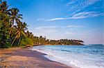 Palm trees, Mirissa Beach, South Coast, Southern Province, Sri Lanka, Asia