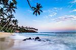 Palm tree at sunset, Mirissa Beach, South Coast, Southern Province, Sri Lanka, Asia