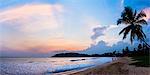 Mirissa Beach, palm tree at sunset on the Indian Ocean, South Coast, Southern Province, Sri Lanka, Asia