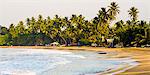 Mirissa Beach at sunset, South Coast, Southern Province, Sri Lanka, Asia