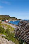 Cod drying on traditional drying racks, Nordkapp, Finnmark, Norway, Scandinavia, Europe