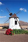 Mill Museum (Centro de Interpretacion de los Molinos), Tiscamanita, Fuerteventura, Canary Islands, Spain, Europe