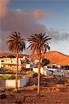 Palm trees and the white village of Toto at sunset, Fuerteventura, Canary Islands, Spain, Europe