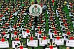 The Field Of Remembrance, St Margaret's Church, Westminster Abbey, London.