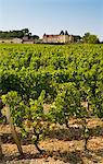 Chateau d'Yquem, Sauternes, France constructed in 15th Century with later additions