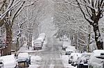 Cars parked in a snow-covered Hampstead street, North London, England, United Kingdom