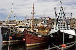 Trawler fishing boats in Stornoway, Outer Hebrides, United Kingdom