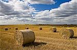 Straw bales, Swinbrook, Cotswolds, United Kingdom