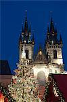 Christmas Tree and Tyn Gothic Church, Old Town Square, UNESCO World Heritage Site, Prague, Czech Republic, Europe