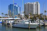 Bayfront Marina, Sarasota, Florida, United States of America, North America