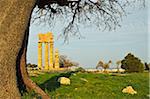 Ruins of Apollo Temple at the Acropolis of Rhodes, Rhodes City, Rhodes, Dodecanese, Aegean See, Greece, Europe