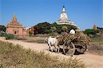 Wooden ox cart passing Shwesandaw Temple, Bagan (Pagan), Central Myanmar, Myanmar (Burma), Asia