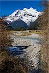 Mount Tronador, Parque Nacional Vicente Perez Rosales, Patagonia, Chile