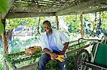 A farm growing and selling organic vegetables and fruit. A man working.