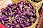 A farm growing and selling organic vegetables and fruit. A basket of small egg plant, aubergines.