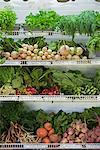 A farm stand with rows of freshly picked vegetables for sale.