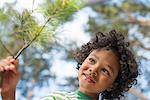 Trees on the shores of a lake. A child standing among the trees, holding a branch with yellow pine needles.