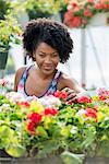 A woman working amongst flowering plants. Red and white geraniums on a workbench.